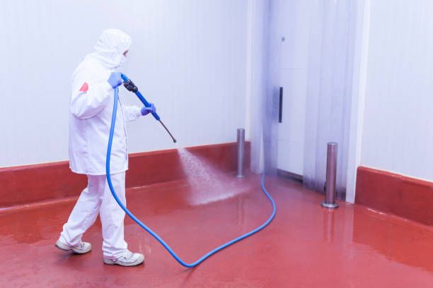 Best Soft Washing  in Auburndale, FL
